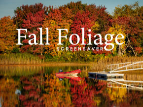 Fall Foliage Screensaver